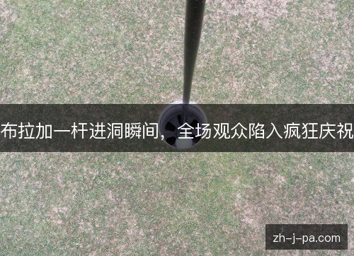 布拉加一杆进洞瞬间，全场观众陷入疯狂庆祝
